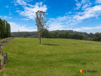 Property 470 Larrys Mountain Road, Mogendoura NSW 2536 IMAGE 0