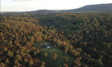 Property DORRIGO NSW 2453 IMAGE 0