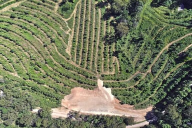 Property 224 Top Forestry Road, Ridgewood QLD 4563 IMAGE 0