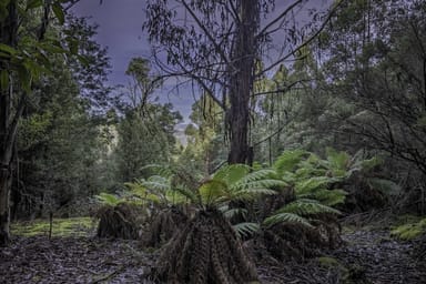 Property JUDBURY TAS 7109 IMAGE 0