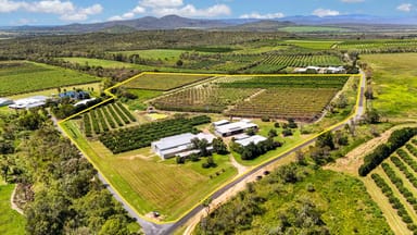 Property 119 Mcleod Road, MUTCHILBA QLD 4872 IMAGE 0