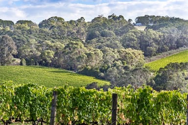 Property 37 Shoreham Road, Red Hill VIC 3937 IMAGE 0