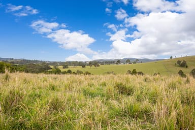 Property 179 Norries Road, BUNYAH NSW 2429 IMAGE 0