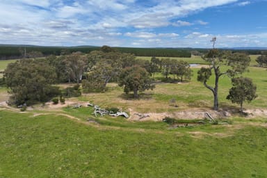 Property Lot 1 & 2 Rosedale-Flynns Creek Road, FLYNN VIC 3844 IMAGE 0