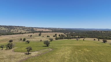 Property 190 BROWN SPRINGS ROAD, COOLAH NSW 2843 IMAGE 0