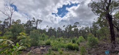 Property Lot 9 Belar Court, Millmerran Woods QLD 4357 IMAGE 0