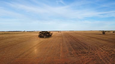 Property 'Roberts' Perponda Road, Karoonda SA 5307 IMAGE 0