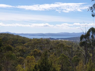 Property 756 Dam Road, SALTWATER RIVER TAS 7186 IMAGE 0