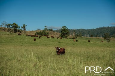 Property Lot 27, 46 Lynches Creek Road, WIANGAREE NSW 2474 IMAGE 0