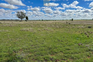 Property 1211 Yarrandale Road, Hermidale NSW 2831 IMAGE 0
