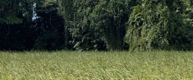 Property LOT 82 Gibbs Rd, Munro Plains QLD 4854 IMAGE 0