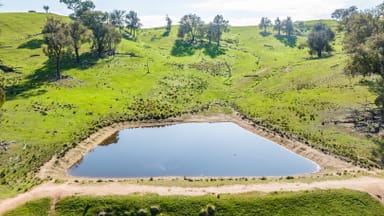 Property 13703 Hume Highway, Mullengandra NSW 2644 IMAGE 0