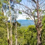 Property 44 Narambi Close, Moruya NSW 2537 IMAGE 0
