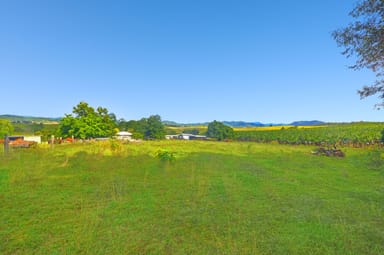 Property 71 Booth Road, UTCHEE CREEK QLD 4871 IMAGE 0