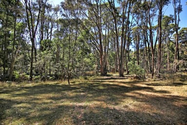 Property 161 Chambers Road, Ashbourne VIC 3442 IMAGE 0