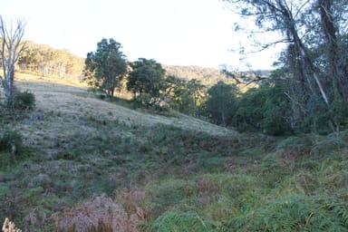 Property Lot 2 Off Neringla Road, BRAIDWOOD NSW 2622 IMAGE 0