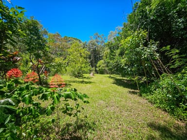 Property 6 Byers Creek Road, ROSSVILLE QLD 4895 IMAGE 0