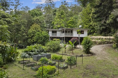 Property 2038 Numinbah Road, Numinbah, NUMINBAH NSW 2484 IMAGE 0