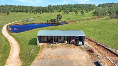 Property 1458 Bendoc-Orbost Road, Bendoc VIC 3888 IMAGE 0