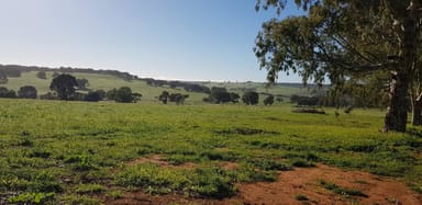 Property 126, Aquilo Road, Gingin WA 6503 IMAGE 0