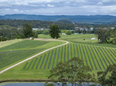 Property 40B Hallgaths Road, Coffs Harbour NSW 2450 IMAGE 0