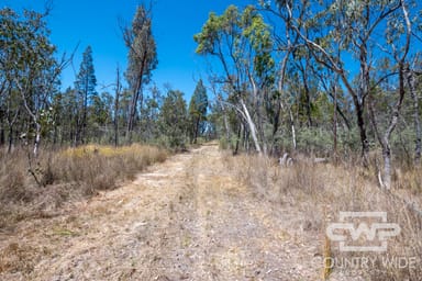 Property 11, Old Stannifer Road, GILGAI NSW 2360 IMAGE 0
