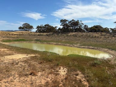 Property 1963 Balumbah-Kinnard Road, Waddikee SA 5640 IMAGE 0