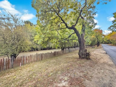 Property Lot 233 Beyers Avenue, Hill End NSW 2850 IMAGE 0