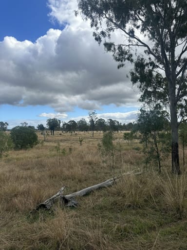 Property 20, Bruce Highway, GIN GIN QLD 4671 IMAGE 0