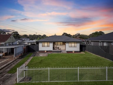 Property 20 Wilberforce Street, ASHCROFT NSW 2168 IMAGE 0