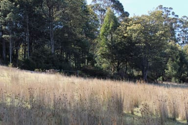 Property 78 Grahams Road, BLACK HILLS TAS 7140 IMAGE 0