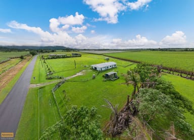 Property 111 no.4 branch Road, SILKWOOD QLD 4856 IMAGE 0