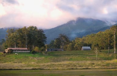 Property 8 Hogans Road, Upper Lansdowne NSW 2430 IMAGE 0