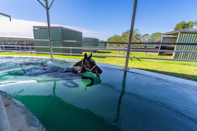 Property 398 Kuss Road, Lower Mount Walker QLD 4340 IMAGE 0