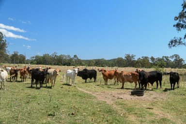 Property "Selection" Tanti Road - Adjoining Turkey Station Homestead, Rodds Bay QLD 4678 IMAGE 0