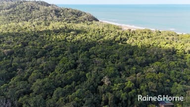 Property Lot 259 Silver Ash Road, Daintree QLD 4873 IMAGE 0