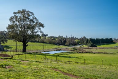 Property 640 Tallwood Road, FOREST REEFS NSW 2798 IMAGE 0