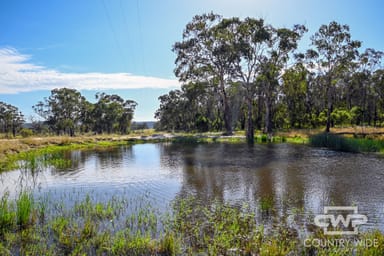 Property 391 Carrot Farm Road, DEEPWATER NSW 2371 IMAGE 0