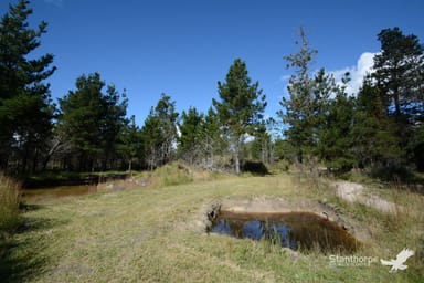 Property Lot 202 Ironbark Road, Sugarloaf QLD 4380 IMAGE 0