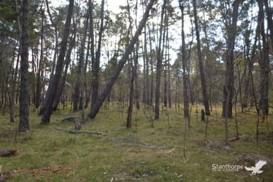 Property 121, Reserve Road, Sugarloaf QLD 4380 IMAGE 0