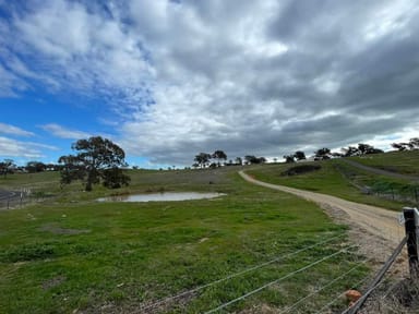 Property 20 Lacey Place, YOUNG NSW 2594 IMAGE 0