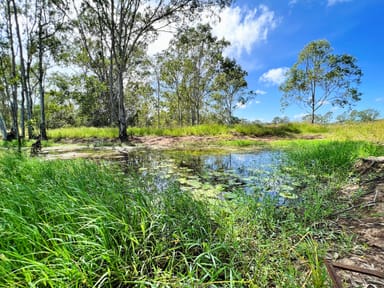 Property 1462 Wallaville - Goondoon Road, DRINAN QLD 4671 IMAGE 0