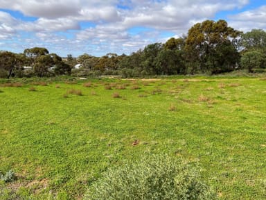 Property 23 Lawler Street, Ouyen VIC 3490 IMAGE 0