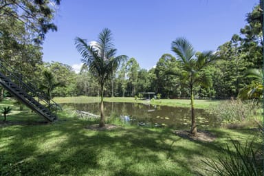 Property 3277 Beechmont Rd, WITHEREN QLD 4275 IMAGE 0