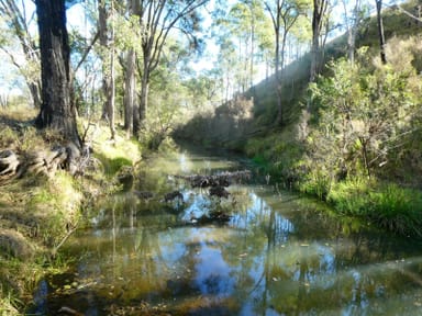 Property NRN BEERON ROAD, Beeron QLD 4626 IMAGE 0