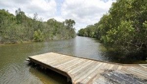 Property 36 The Esplanade, Coombabah QLD 4216 IMAGE 0