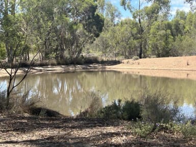 Property Lot 1 Bambling Road, BRUSH CREEK QLD 4387 IMAGE 0