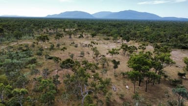Property 1198 Webb Road, REID RIVER QLD 4816 IMAGE 0