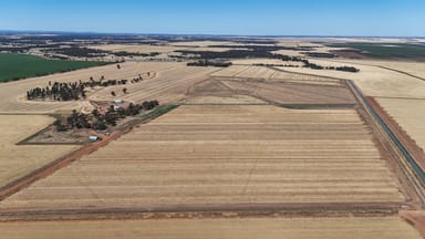 Property 1354 Main Canal Road, Coleambally NSW 2707 IMAGE 0