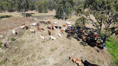 Property Lot 1 & 3 Kampfs Road, GOOMBUNGEE QLD 4354 IMAGE 0